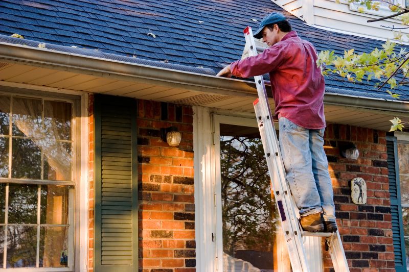 Year-Round Gutter Care